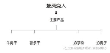 聚力農(nóng)產(chǎn)品上行，太仆寺旗電商銷售品牌策劃服務(wù)全旗 經(jīng)營電子商務(wù)